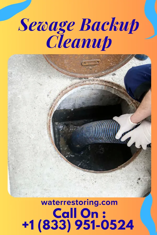 Sewage Backup Cleanup in Cushman, AR